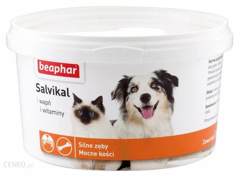 Beaphar Salvikal - Preparat mineralno- witaminowy 250g