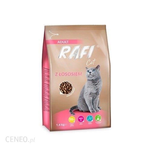 Rafi Cat Z Łososiem 1