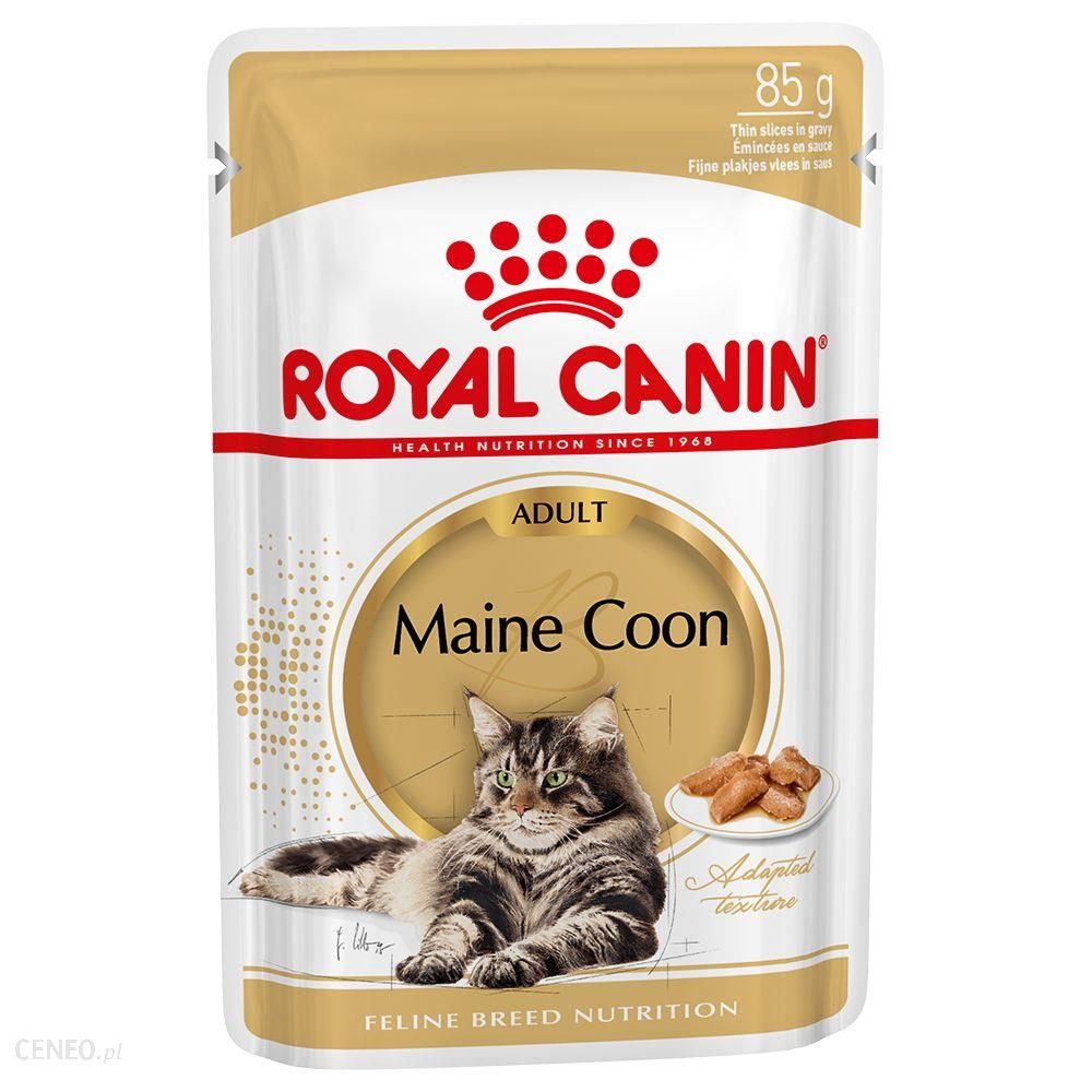 Royal Canin Maine Coon Adult 24x85g